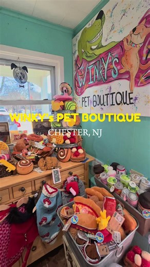 Winky’s has it all!!!! Spend the afternoon shopping at Winky’s and then grab a bite, or a refuel, at one of the local dog-friendly cafes! (indoor dog friendly seating!) 📍Winkys Pet Boutique 15 Perry Street, Chester NJ 🦮 1 block from Winky’s: 📍 El Monte Coffee Roasters 45 Perry St, Chester NJ 🐾 Save this reel for your next doggie date! 🐾 Follow @njdogfriendly to discover more dog friendly locations accross New Jersey #dogfriendly #nj #newjersey #chester #coffeedate