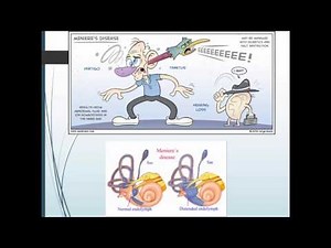 Concept of Sensory Perception