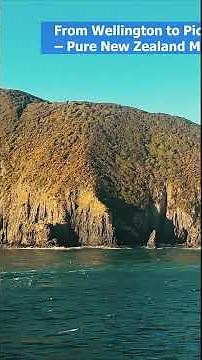 Stunning Ferry Journey in New Zealand! 🚢🇳🇿 | Wellington to Picton Views