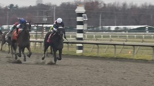 1.2K views · 19 reactions | What a finish with Aztec & apprentice jockey Yesdit Hazlewood getting the win in Wednesday’s 8th race going 1 mile & 70 yards at Parx Racing for trainer Jamie Ness, owners Longball Stable & Jagger Inc on our annual Caretakers Day in PA Horseracing - 11/19/25 | Let's Go Racing Parx | Facebook