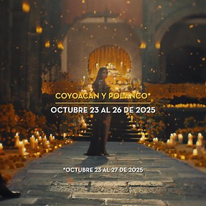 Vive precios especiales y empieza a pagar en febrero de 2026 con tu Tarjeta Palacio. El Palacio de Hierro Coyoacán y Polanco* | El Palacio de Hierro