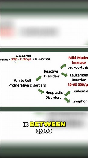 White Blood Cell Count: Normal Levels Explained #shorts