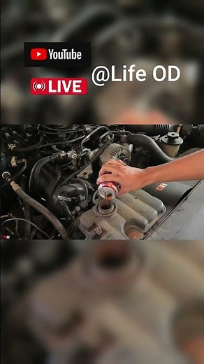 Cooking oil as engine oil