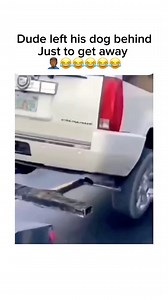 2.9M views · 12K reactions | They do anything to get away from the repo man  #repo #automobile #dog #towtruck #towlife #tow | 1_EBEN | Facebook