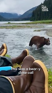 4.8M views · 7.8K reactions | The Bear: 栗‍♀️✨ The people sitting in his space, his area: 﫣 | Fur Family | Facebook