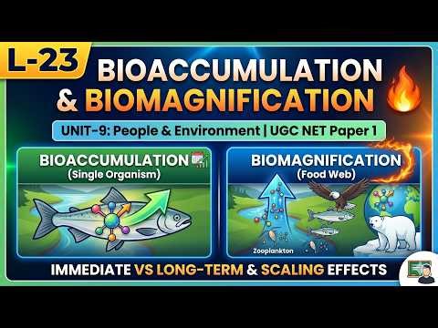L-23 Bioaccumulation & Biomagnification | Unit-9 People & Environment | UGC NET Paper 1