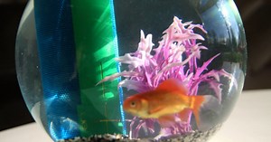 High-tech. UE Boom 2 : une enceinte nomade fun et séduisante