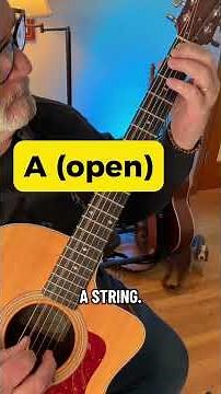 Basic Music Theory For Beginner Guitarists #beginnerguitar #guitartheory #musictheoryforguitar