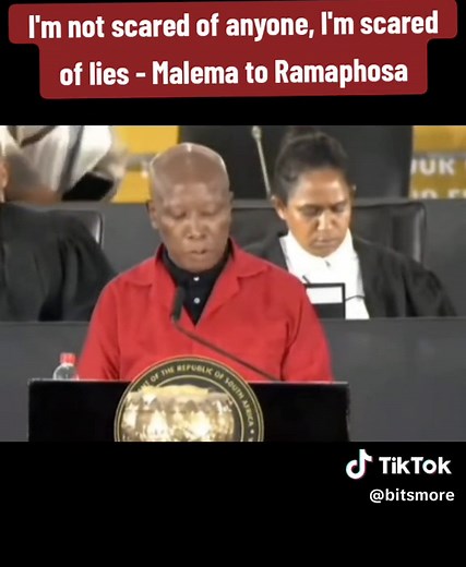 Malema vs Ramaphosa: Unmasking the Truth in Parliament Debate
