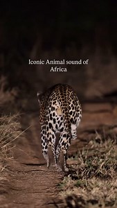 3.2K views · 10K reactions | One of the most Iconic sounds on Safari....