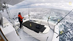 The fleet that fishes together, wins together. | Wicked Tuna