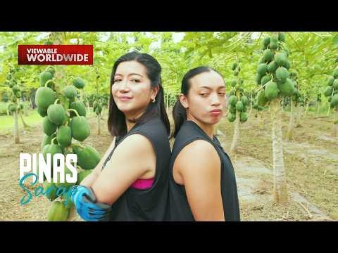 Tapatan nina ‘Lusong Queen’ at ‘Clutch Queen’ sa Pampanga! (Full Episode) | Pinas Sarap