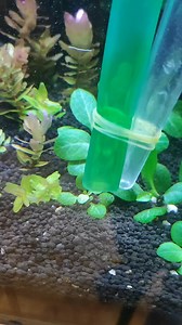 93K views · 539 reactions | Cleaning time | CHASE Aquatics | Facebook