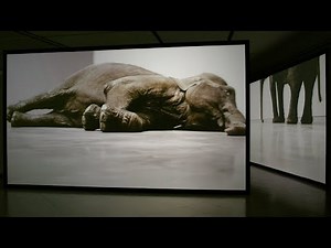 Ausstellungsfilm: Douglas Gordon