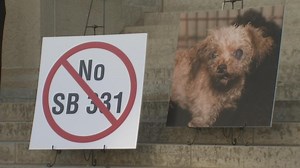 Animal rights activists joining forces to change Ohio laws