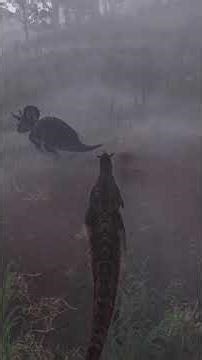 The meat eating bull vs the three horned bull