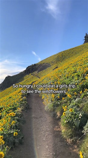 Who wants to go on a girls trip to Oregon?!? If that’s YOU, then come with Nonnie Adventures to Hood River, Oregon, May 8-10th! We’ll be doing some hikes, seeing a few waterfalls, eating good food and wrapping it all up with some restorative yoga 🧘🏻‍♀️ 🥾🌻👯‍♀️ DM us for more info and the sign up form!! #2026travel #girlswhohike #solofemaletravel #wildflowers #pnwonderland