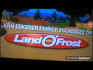 Nature Cat Custom Funding