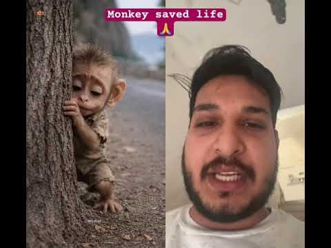 #sadmonkey 🐵 🐒 Bandar Mera Dost 👯‍♀️ rio