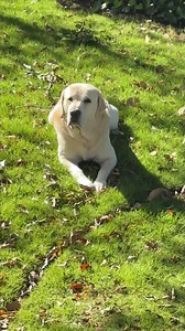 Caption Contest | Dan Brown