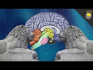 Constructing a Memory Palace - Epic Science #27