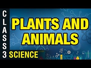 Plants and Animals | 3rd Class General Science | Digital Teacher