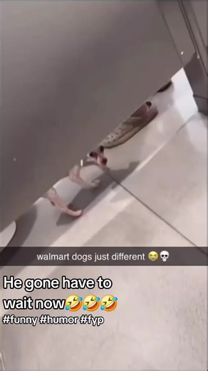 Robert Quzack (@robertquzackawwcx)’s videos with i know u see me watchin luvvvv - someweirdcockyloser