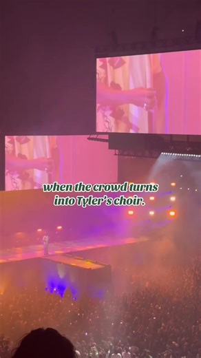 Tyler, The Creator's Concert Experience in Dallas