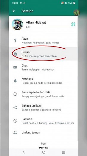 Not Appearing Online on WhatsApp