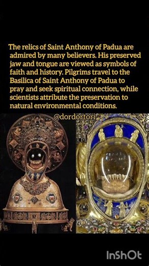 The Jawbone and Incorrupt Tongue: Myth or Reality? #historia #history #facts #museum #didyouknow