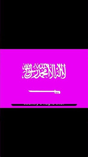 Guess the Flag with Inverted Colors 🌍 | Hard Challenge