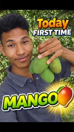 Finally! My First Mango Harvest Ever #MangoSeason #FirstHarvest