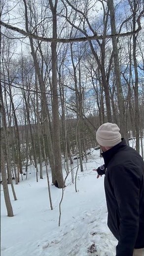 Can This Hickory Tree Be Saved? Arborist Explains Base Decay