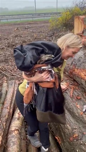 Video 2/3. Pascale Plusquin redt een verwarde buizerd. #GeenWoordenMaarDaden! | Vrede voor Dieren