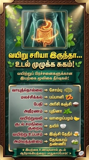Healthy Gut, Healthy Body! 🌿 8 Natural Foods #GutHealth #HealthTips #TamilHealth #healthy