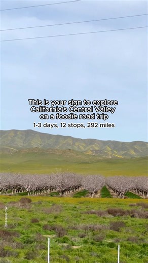Explore the Central Valley on a foodie road trip! 🚗 Covering 292 miles and featuring 12 stops for incredible bites, this tasty adventure is a great way to experience the region’s farm-fresh produce and cuisine. 🍽️ Find the whole itinerary: https://bit.ly/3XLQbt9 📍Visit Bakersfield, Visit Visalia & See the Sequoias, Visit Fresno County, Visit Modesto, and Visit Lodi 📷 @teresa.ctw, @suddenlysee, @dipalkparmar on IG | Visit California