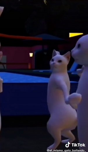 el mismo gato bailando<3 on TikTok