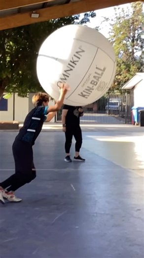 Kin-Ball Soñadores del Sol | Pastel de chocolate 🍰🍫 #ind #deporte @omnikin_official #kinball #kinballss #kinballchile | Instagram