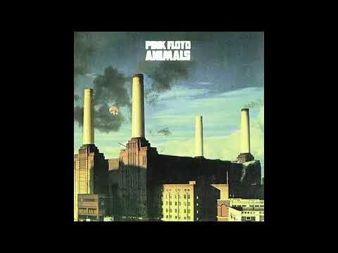 Pink Floyd - Pigs - Three Different Ones (Backing Track) No Guitar