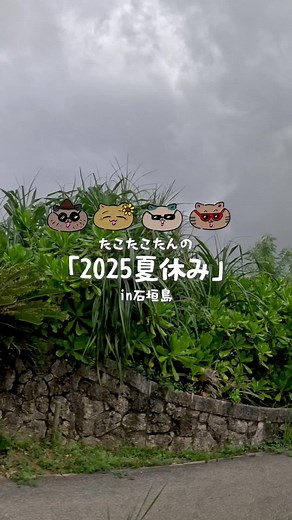 石垣島の夏休み2025でシュノーケリングとカヤック