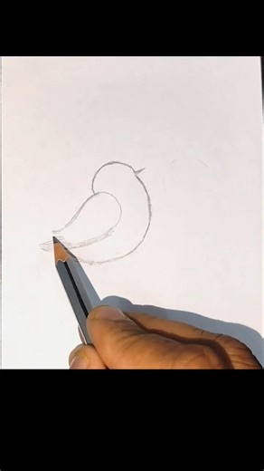 sparrow bird drawing #art #drawing #sparrow