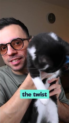 Is AI Smarter Than the Average Human?