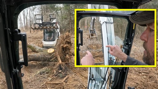 Big Cherry Wood Stump Removal with Bobcat T650 CTL & E42 Mini Excavator