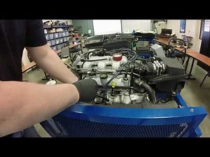 Dynamic Compression Test