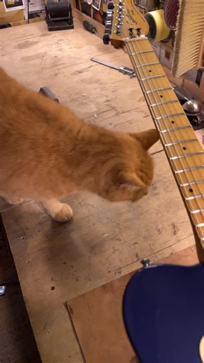 MRKT on Instagram: "Easy repair of a Canadian electric guitar😺"