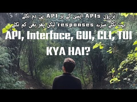 API kya hai? EasyWay