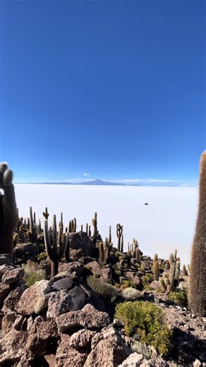 Roadtrip Marzo ‘26 Isla Inca Huasi, Potosí. #salardeuyuni #bolivia