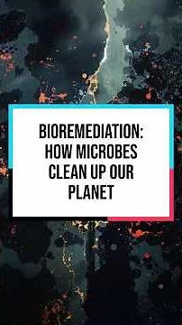Bioremediation: How Microbes Clean Up Our Planet