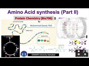 Amino acid synthesis 2, Gabriel Malonic ester, Strecker, SN2, aldehyde, ketone & Protein synthesis