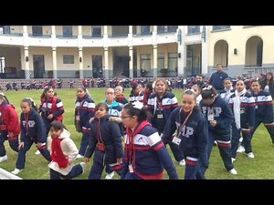 Activación Física 2016 (Instituto Mier y Pesado) .